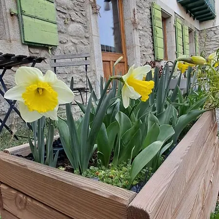 Le Grenier Des Moineaux Chezchristineetfabrice Bed & Breakfast 3*