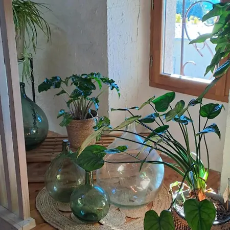 Le Grenier Des Moineaux Chezchristineetfabrice לינה וארוחת בוקר 3*