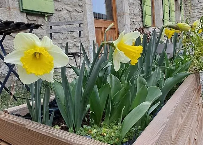 Le Grenier Des Moineaux Chezchristineetfabrice Frühstückspension 3*